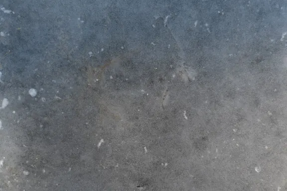 Casino Coins Game Ënnerstëtzung